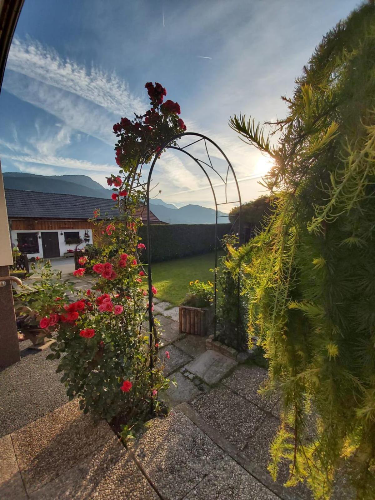 Appartment Luki Haus im Ennstal Exterior photo